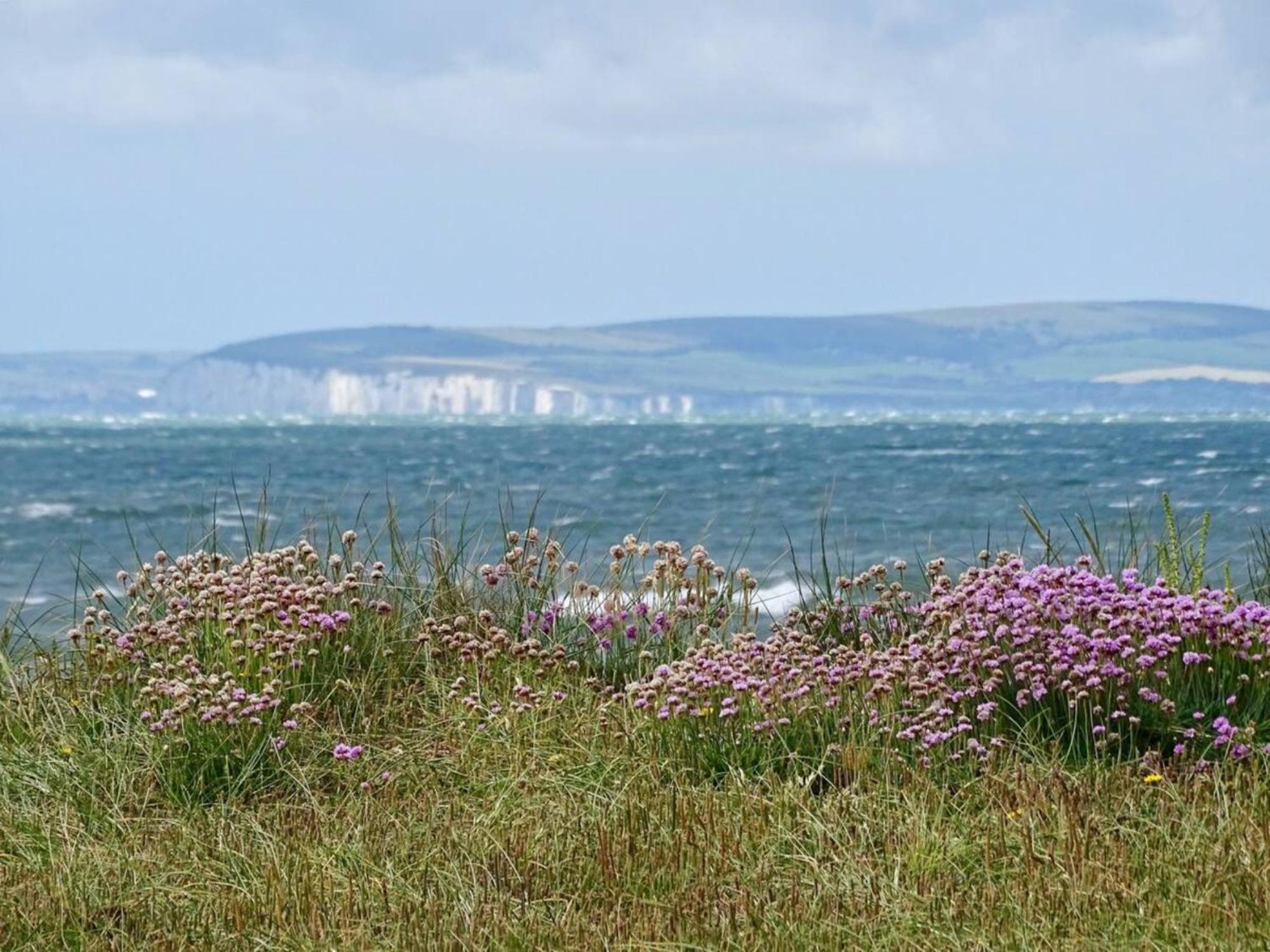 Newly Renovated Ideally Situated 2 Bedroom Flat Bournemouth Exteriör bild